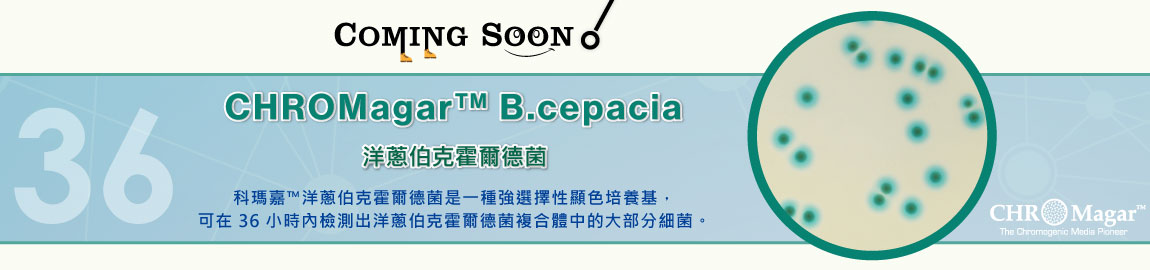 CHROMagar™ B.cepacia  即將上市！