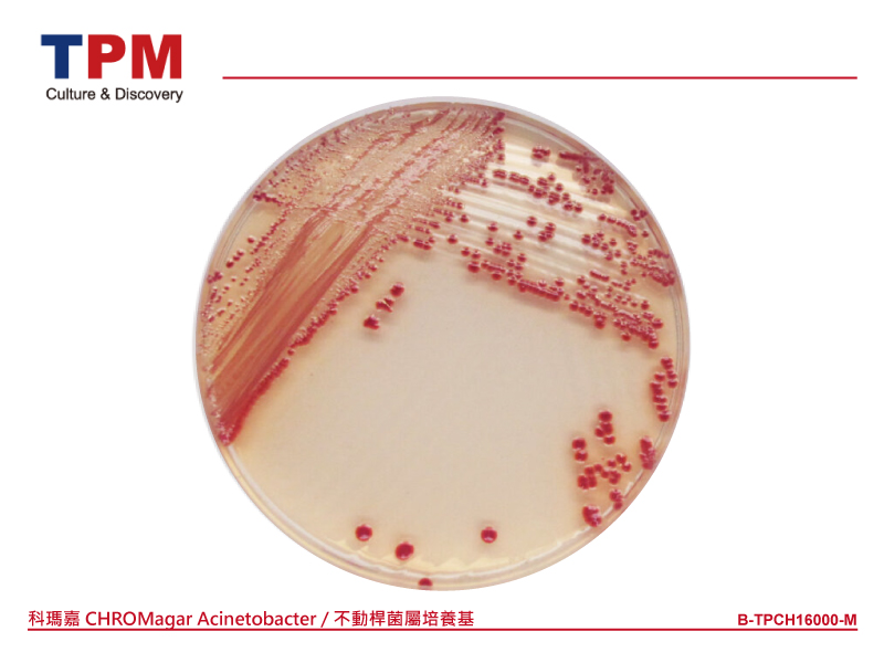 科瑪嘉 CHROMagar Acinetobacter