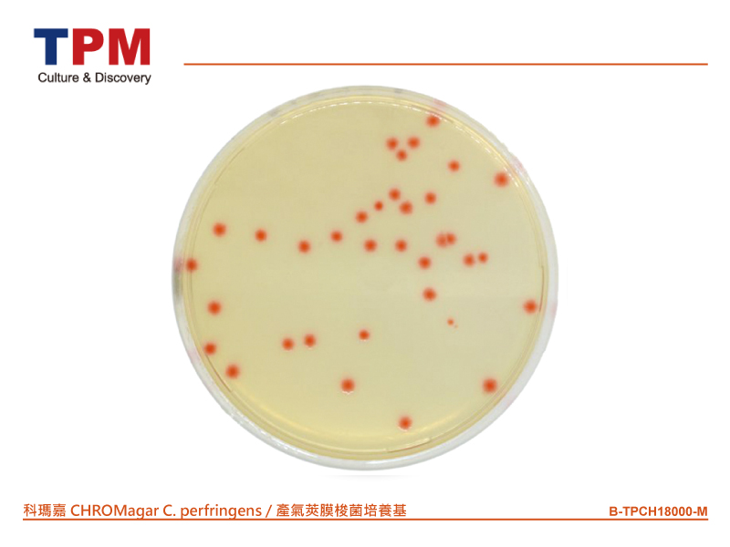 科瑪嘉 CHROMagar C. perfringens / 產氣莢膜梭菌培養基