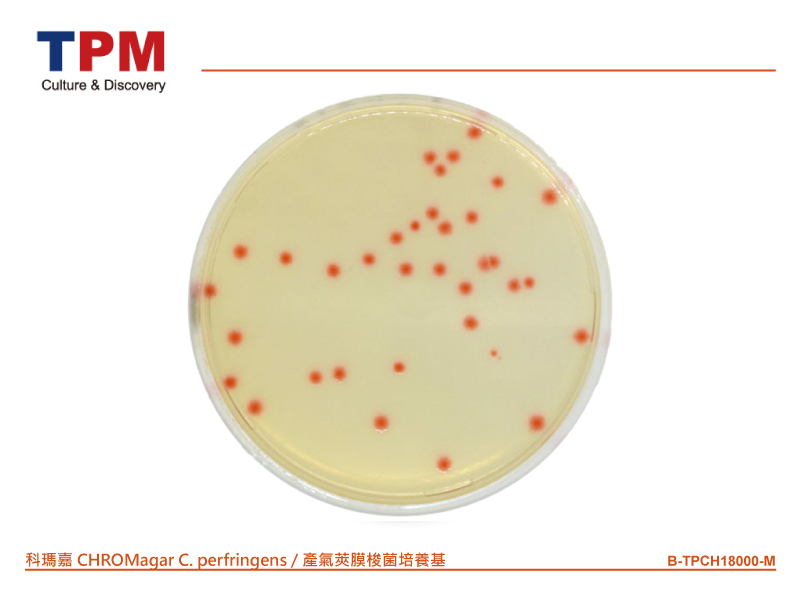 科瑪嘉 CHROMagar C.perfringens