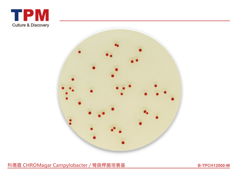 科瑪嘉 CHROMagar Campylobacter / 彎曲桿菌培養基
