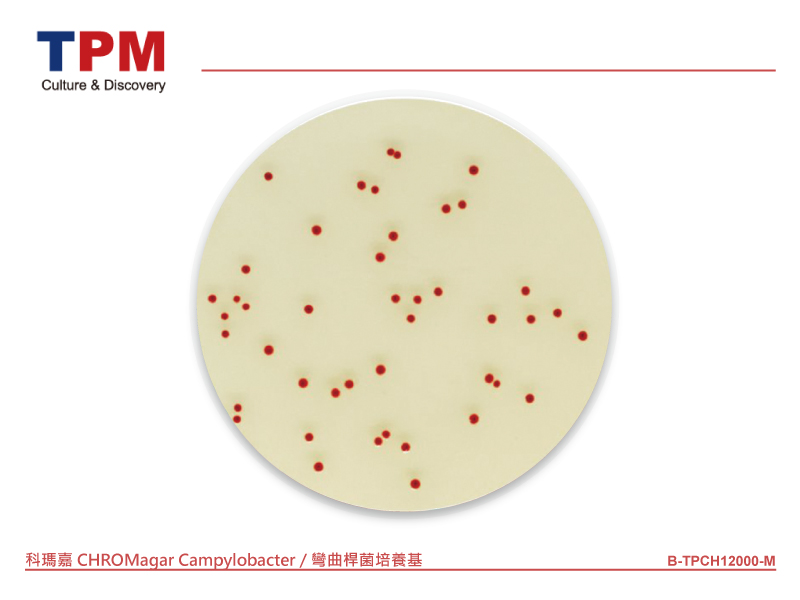 科瑪嘉 CHROMagar Campylobacter