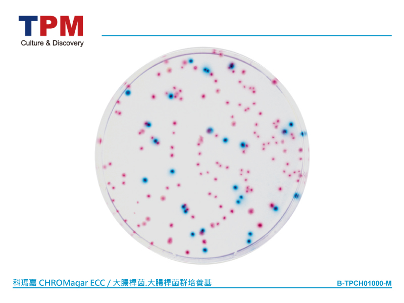 科瑪嘉 CHROMagar ECC / 大腸桿菌 、大腸桿菌群培養基