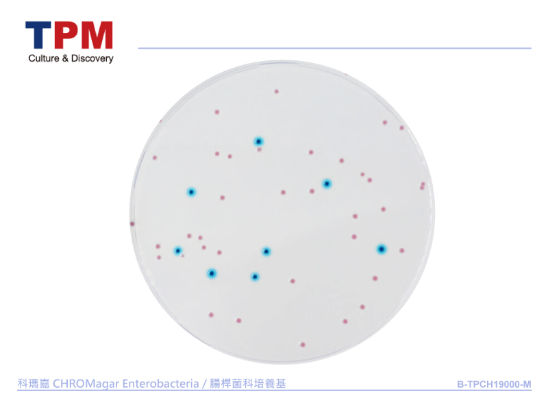 科瑪嘉 CHROMagar Enterobacteria / 腸桿菌科培養基