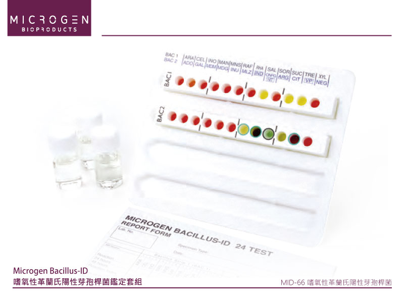 Microgen Bacillus-ID