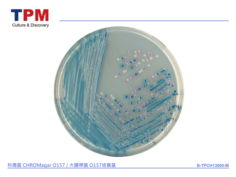 科瑪嘉 CHROMagar O157 / 大腸桿菌 O157培養基