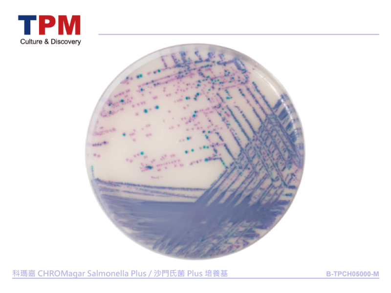 科瑪嘉 CHROMagar Salmonella Plus / 沙門氏菌 Plus 培養基