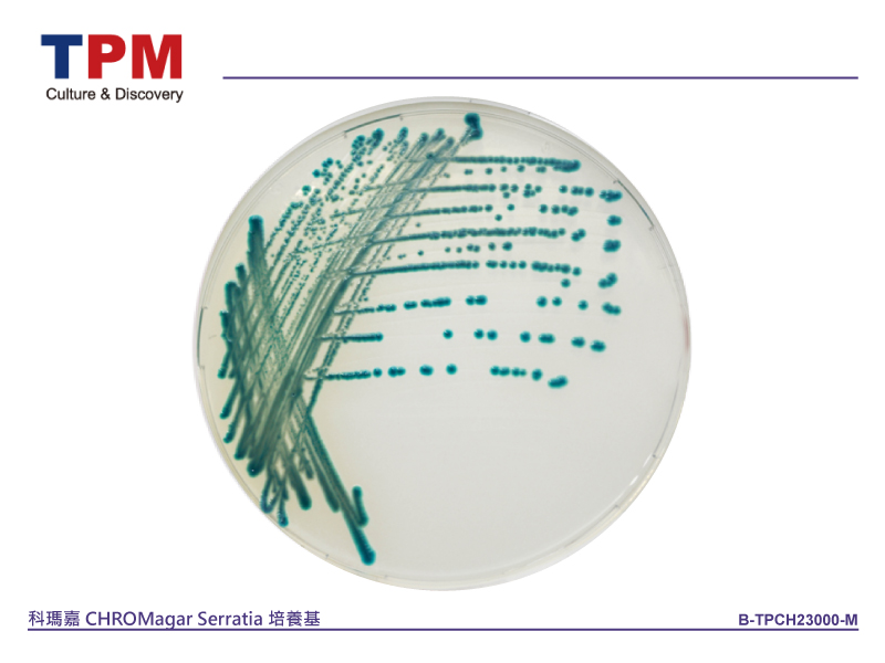 科瑪嘉 CHROMagar Serratia