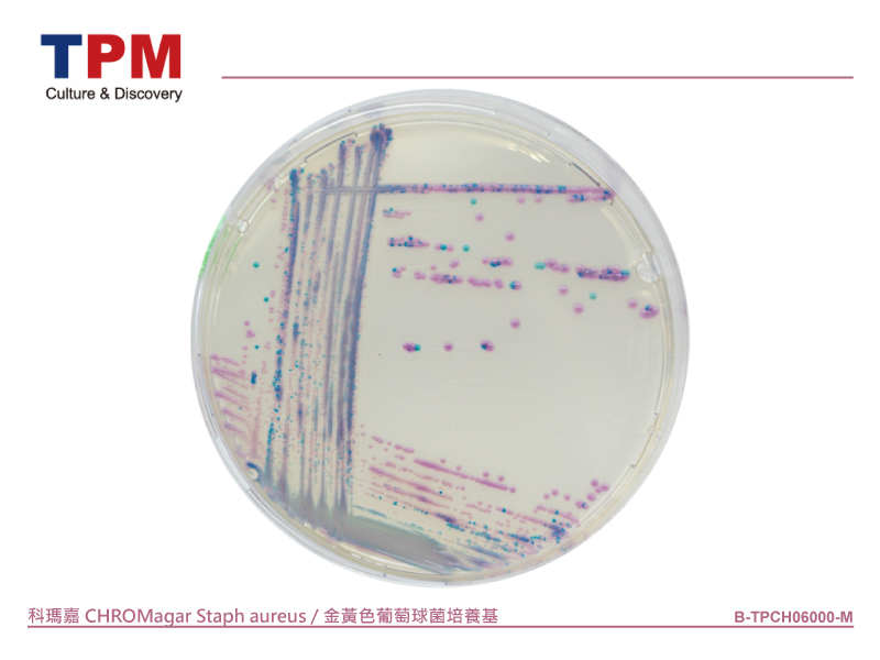 科瑪嘉 CHROMagar Staph aureus / 金黃色葡萄球菌培養基