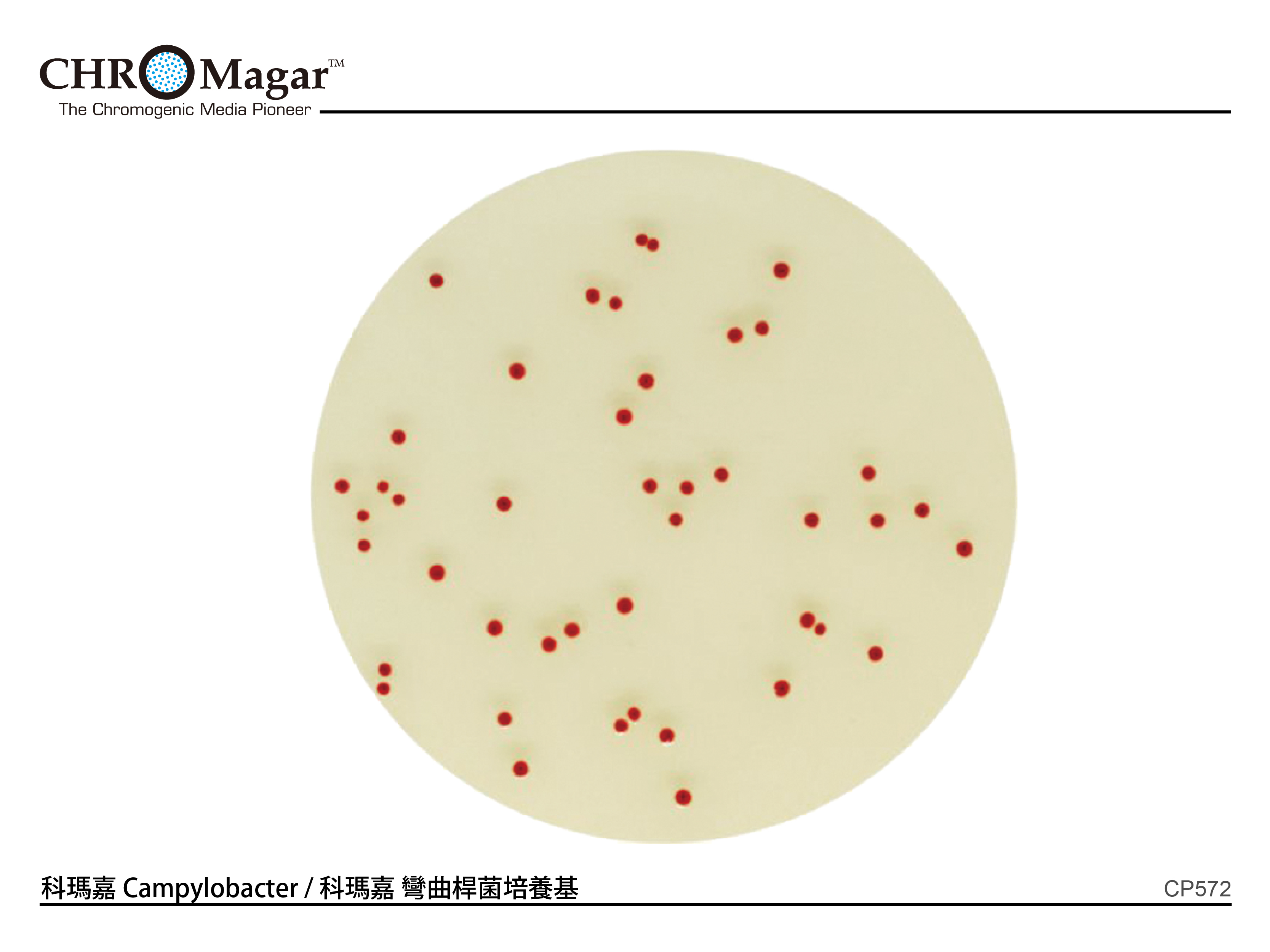 科瑪嘉 Campylobacter /科瑪嘉彎曲桿菌培養基