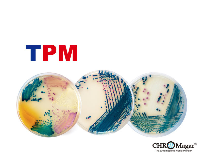TPM 彩色現用培養基